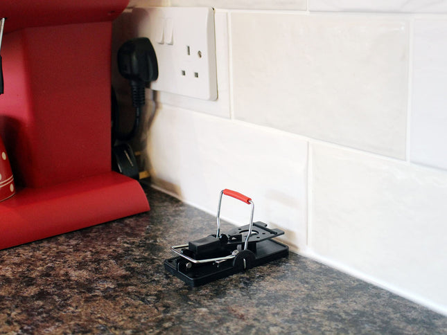 Rentokil Advanced Mouse Trap, Pack of 1