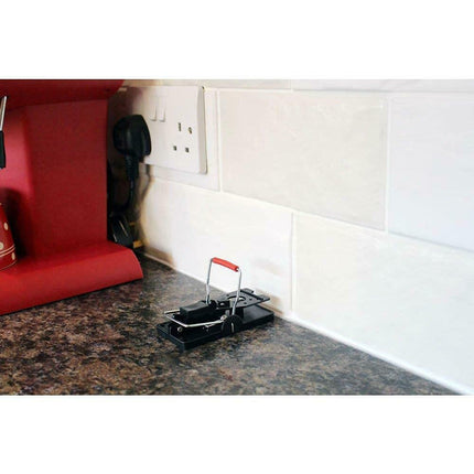 2 Pack Mouse Traps