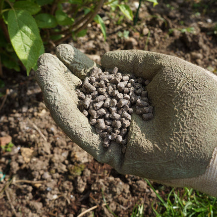 6X Natural Pelleted Chicken Fertiliser, Six Times More Nutrients Than Farm Yard Manure, Fully Composted, Weed Free - 7Kg