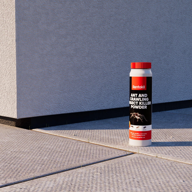 Rentokil - PSA201 - Ant & Insect Killer Powder - 300g