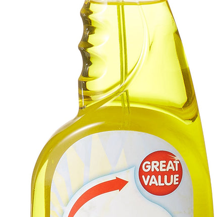 EASY Kitchen Cleaner Trigger Spray - 750 ml