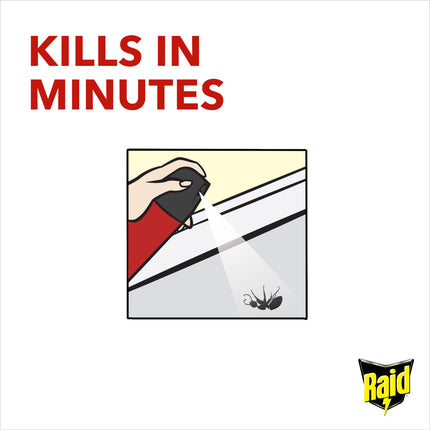 Raid Ant & Cockroach Killer, Insect Killer For Indoor Use, Long Lasting Protection for the Home, Pack of 6 (6 x 300ml)