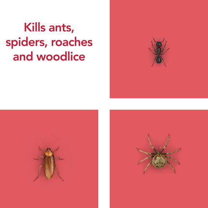 Raid Ant & Cockroach Killer, Insect Killer For Indoor Use, Long Lasting Protection for the Home, Pack of 6 (6 x 300ml)