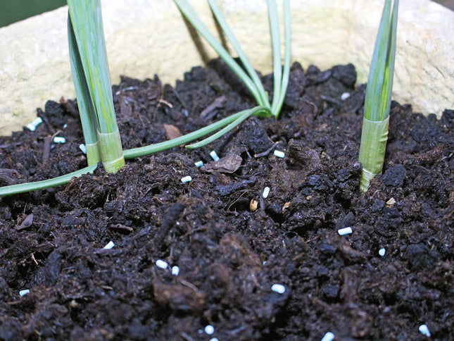 Rentokil Slug & Snail Killer Pellets For Insects
