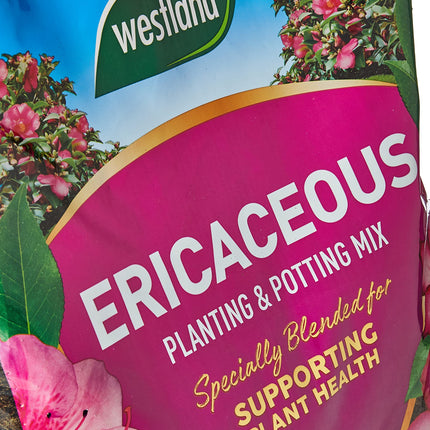 Westland 11400006 Ericaceous Compost, Pink
