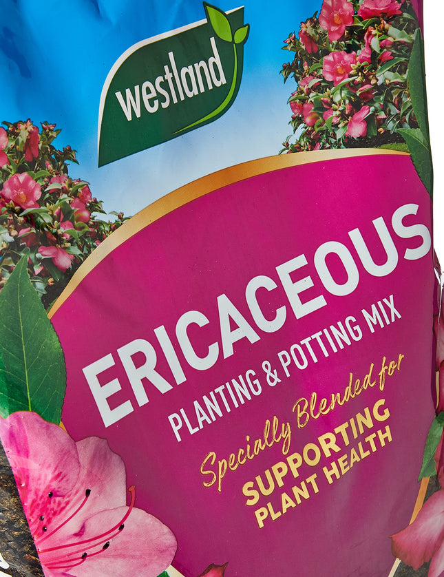 Westland 11400006 Ericaceous Compost, Pink