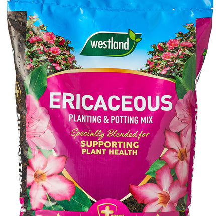 Westland 11400006 Ericaceous Compost, Pink
