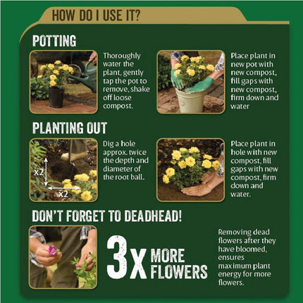 Westland John Innes Number 3 Mature Plant Compost, 35L