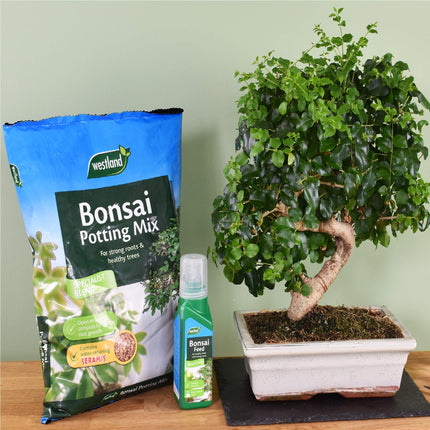 Westland Potting Compost Mix and Enriched with Seramis, Brown, 4 Litre