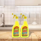 Elbow Grease All Purpose Kitchen/Floor/Tile/Wall/Bathroom/Glass/Carpet Cleaner - Elbow Grease Clothes Stain Remover - AntiBacterial Sticky Stuff Remover Spray (500 ml) (Pack of 2)