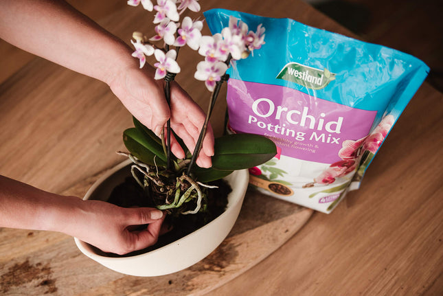 Westland Orchid Potting Compost Mix and Enriched with Seramis, 8 L