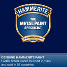 Hammerite Spray Paint for Metal. Direct to Rust Exterior Dark Green Metal Paint, Smooth Finish. Corrosion Resistant Gloss Paint and Rust Remover, 8 Year Protection - 400ml Aerosol 0.5 SqM Coverage