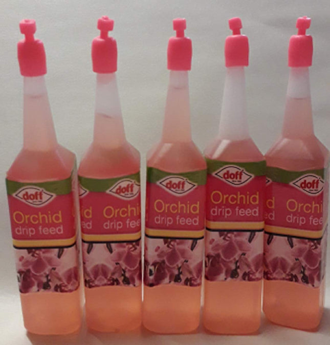 ORCHID DRIP FEEDERS (5)